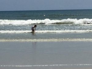 13626428_10154275585314330_2633975939425436240_n