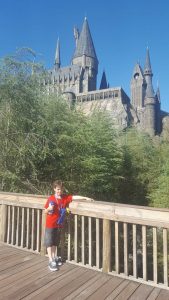 13692636_10205034101131788_5182988192615765281_n